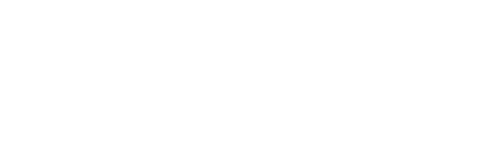 PolarisIT - Florida Managed Services