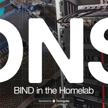 DNS in the Homelab