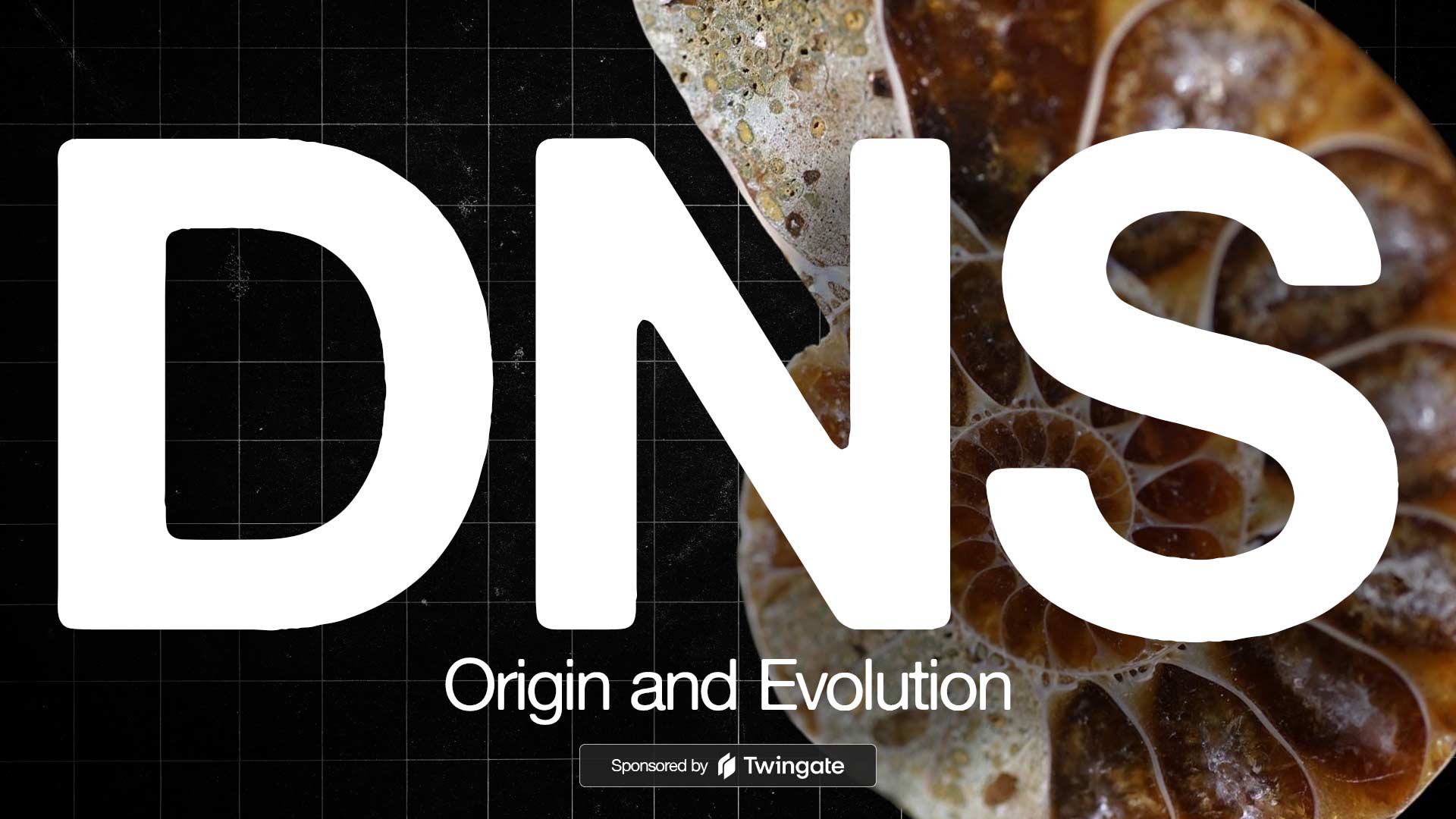 The Origin and Evolution of DNS, the Domain Name System
