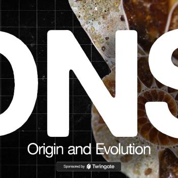 The Origin and Evolution of DNS, the Domain Name System
