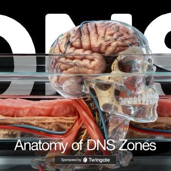 The Anatomy of DNS Zones: Roles and Functions