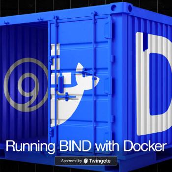 Homelab DNS: Running BIND with Docker
