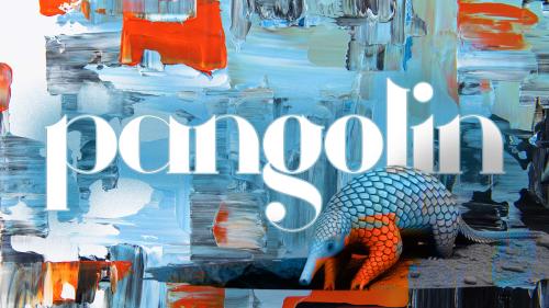 Why I No Longer Use Pangolin