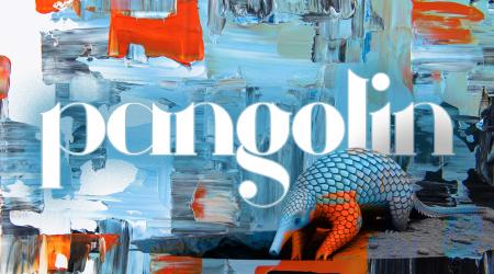 Why I No Longer Use Pangolin